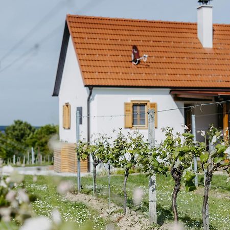 Ferienwohnung Urlaub Im Kellerstoeckl Dunst Strem Zimmer foto