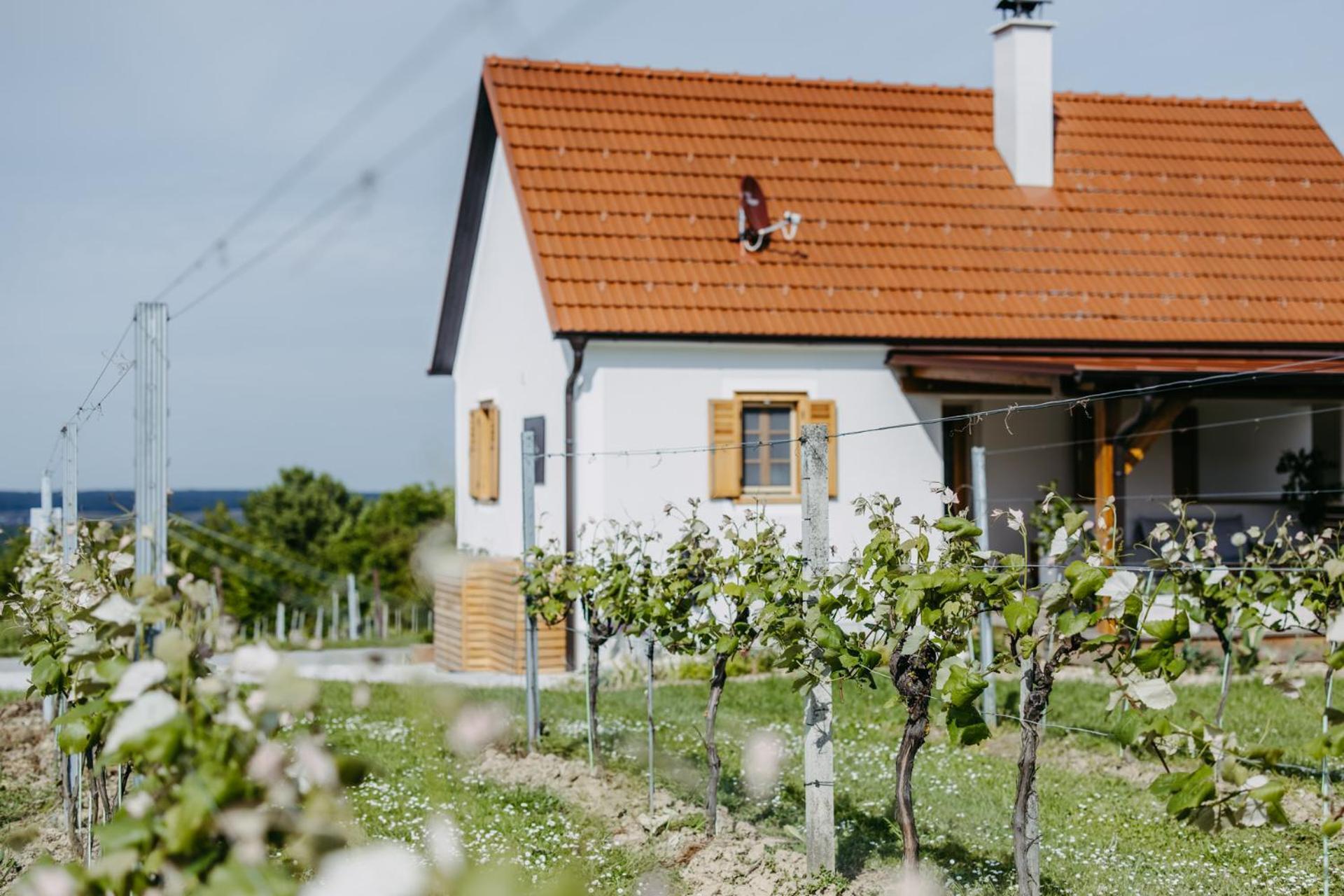 Ferienwohnung Urlaub Im Kellerstoeckl Dunst Strem Zimmer foto