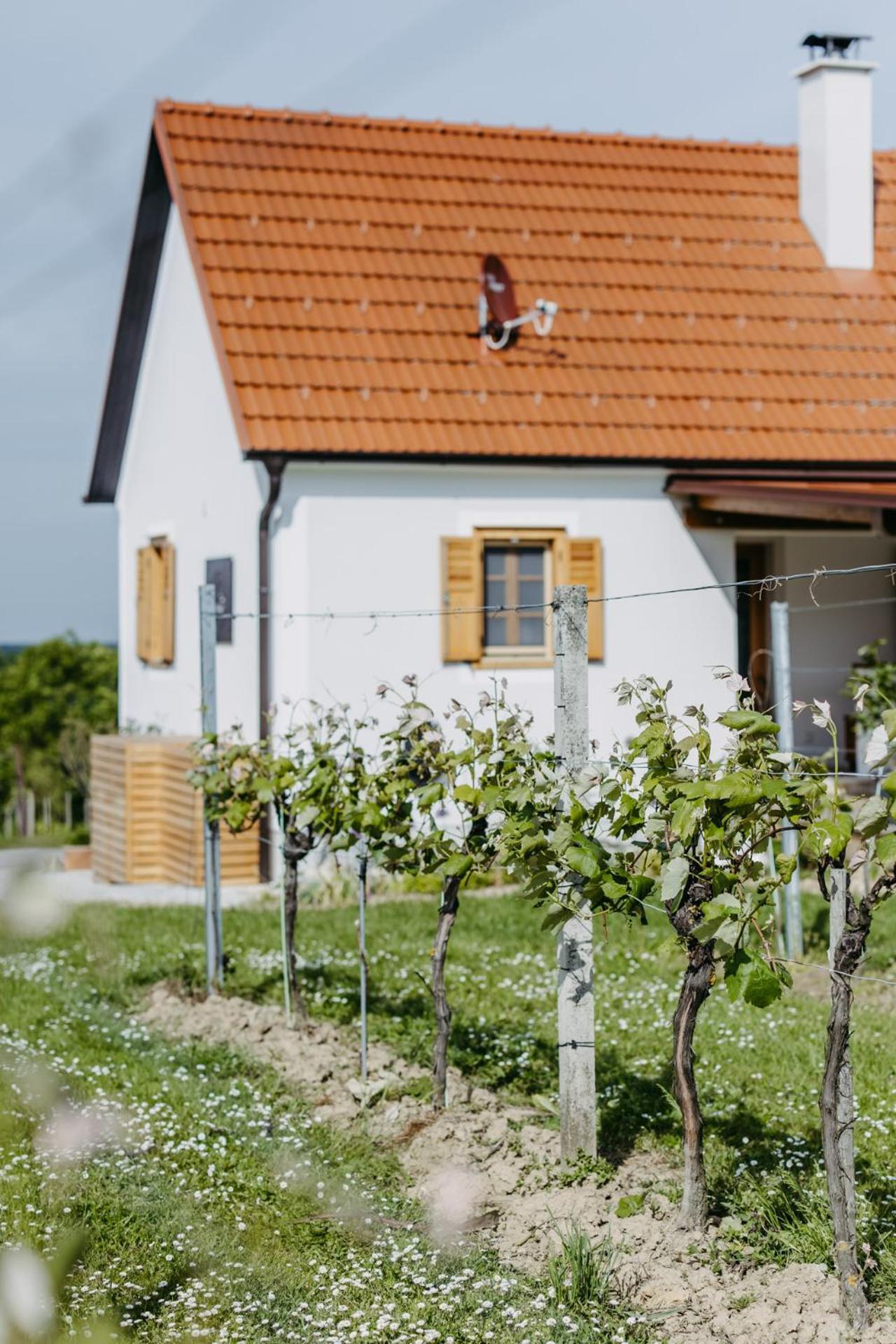 Ferienwohnung Urlaub Im Kellerstoeckl Dunst Strem Zimmer foto